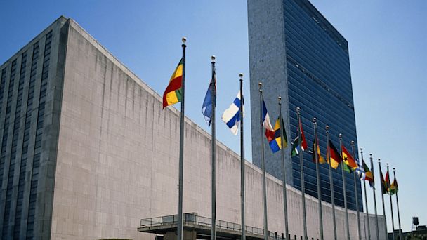Will the United Nations Be Reformed?